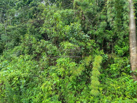 Imagem Terreno à Venda, 1 m² em Parque Aquarela - Campos Do Jordão Imagem Terreno à Venda, 1 m² em Parque Aquarela - Campos Do Jordão