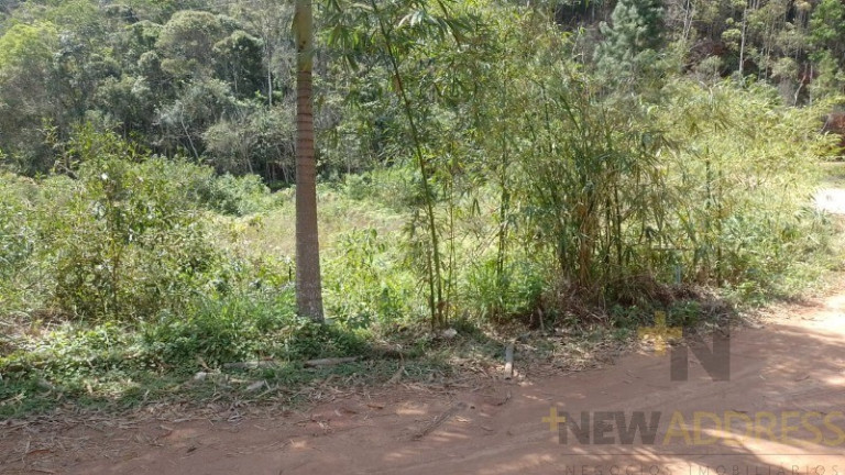 Imagem Imóvel com 1 Quarto à Venda, 20.000 m² em Marechal Floriano - Marechal Floriano