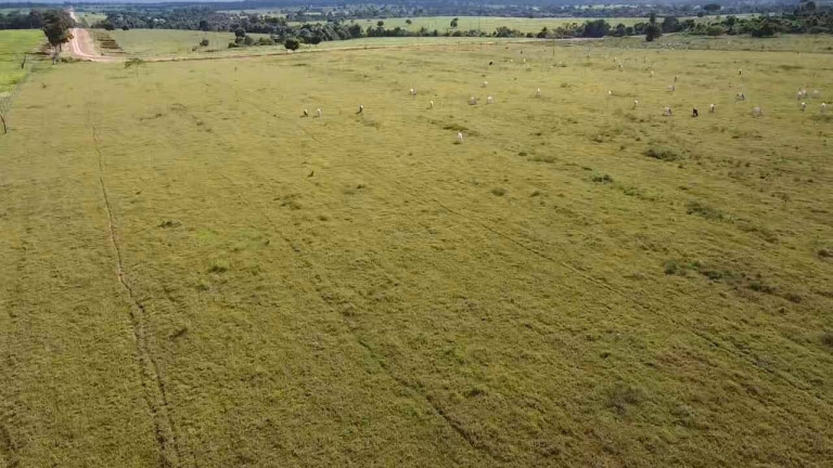 Imagem Chácara à Venda, em Jardim Europa - Tangará Da Serra Imagem Chácara à Venda, em Jardim Europa - Tangará Da Serra