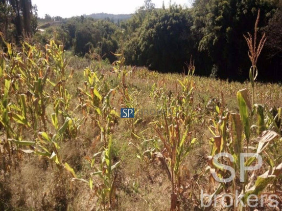 Imagem Terreno à Venda, 120.000 m² em Jardim Vera Cruz - Louveira