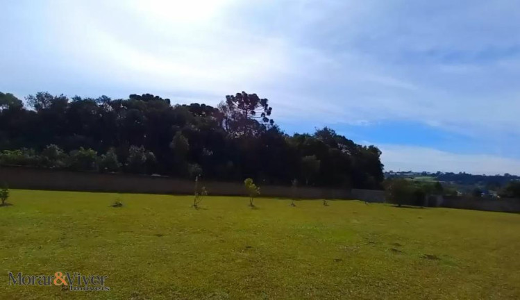 Imagem Chácara com 4 Quartos à Venda, 5.180 m² em Campo Largo Da Roseira - São José Dos Pinhais