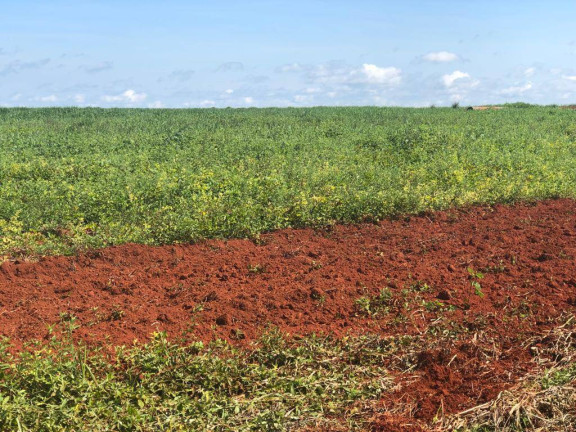Imagem Fazenda à Venda, 15.000 m² em Mato Grosso Imagem Fazenda à Venda, 15.000 m² em Mato Grosso
