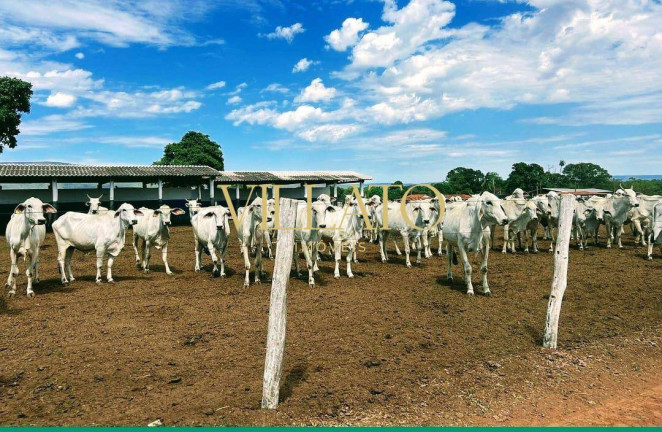Imagem Fazenda à Venda, 1.000 m² em área Rural De Formosa - Formosa Imagem Fazenda à Venda, 1.000 m² em área Rural De Formosa - Formosa