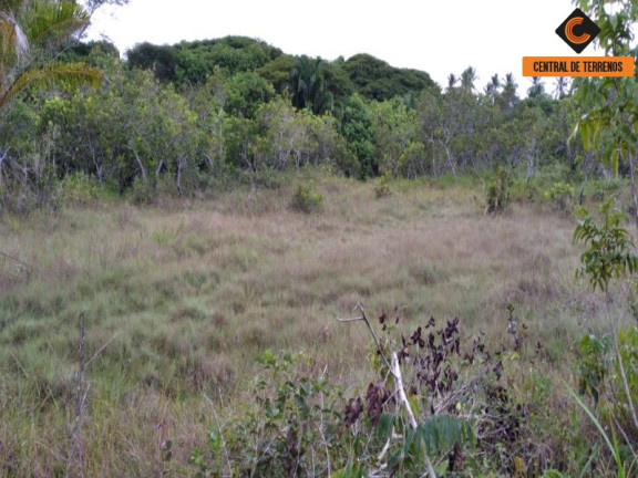Imagem Terreno à Venda, 27.900 m² em Parafuso - Camaçari Imagem Terreno à Venda, 27.900 m² em Parafuso - Camaçari
