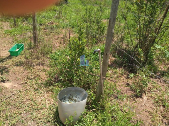 Imagem Terreno à Venda, 1.000 m² em Primavera - São Joaquim De Bicas
