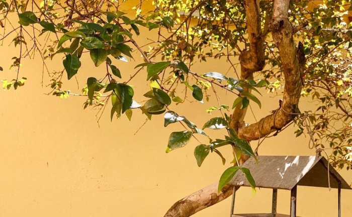 Imagem Casa com 4 Quartos à Venda, 600 m² em Santa Mônica - Guarapari