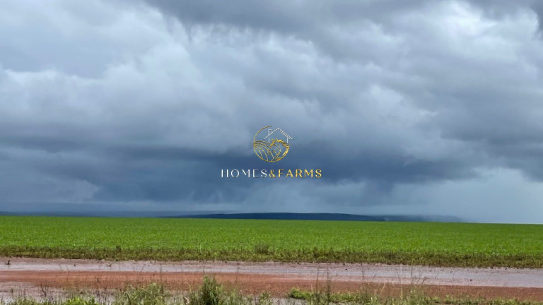 Imagem Imóvel com 3 Quartos à Venda, 7.546 m² em Zona Rural - Nobres Imagem Imóvel com 3 Quartos à Venda, 7.546 m² em Zona Rural - Nobres
