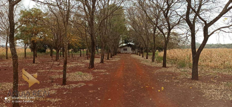 Chácara com 3 Quartos à Venda, 94.000 m² em Zona Rural - Sidrolândia