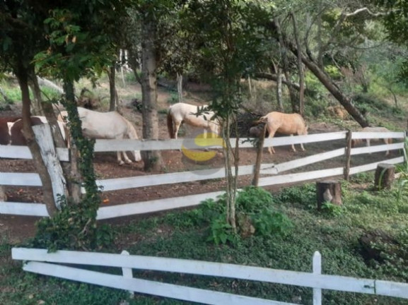 Imagem Chácara com 2 Quartos à Venda, 21.250 m² em Jardim Brasília - Mairinque Imagem Chácara com 2 Quartos à Venda, 21.250 m² em Jardim Brasília - Mairinque