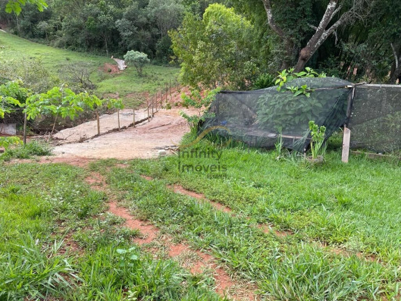 Imagem Imóvel com 3 Quartos à Venda, 8.000 m² em Satélite - Juatuba Imagem Imóvel com 3 Quartos à Venda, 8.000 m² em Satélite - Juatuba
