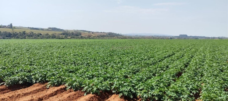 Imagem Imóvel à Venda, 895.400 m² em Vale San Fernando - Itapetininga Imagem Imóvel à Venda, 895.400 m² em Vale San Fernando - Itapetininga