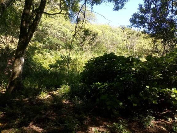 Imagem Terreno à Venda, 3.500 m² em Piá - Nova Petrópolis Imagem Terreno à Venda, 3.500 m² em Piá - Nova Petrópolis
