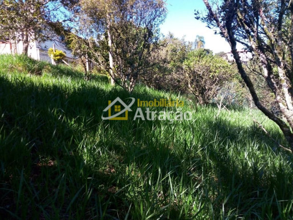 Imagem Imóvel à Venda, 1.965 m² em Parque Alvorada - Suzano Imagem Imóvel à Venda, 1.965 m² em Parque Alvorada - Suzano