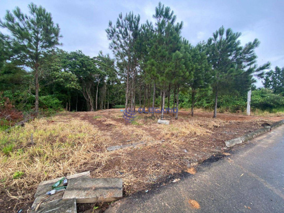 Imagem Terreno à Venda, 1.995 m² em Centro - Penha Imagem Terreno à Venda, 1.995 m² em Centro - Penha