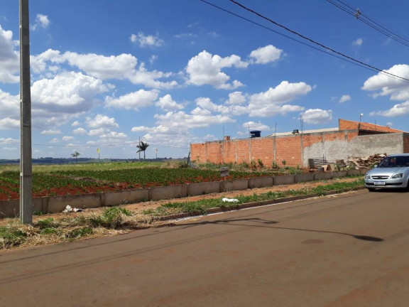 Terreno à Venda, 300 m² em Cidade Jardim - Arapongas