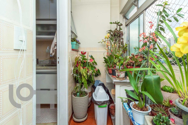 Imagem Apartamento com 2 Quartos à Venda, 69 m² em Chácara Inglesa - São Paulo Imagem Apartamento com 2 Quartos à Venda, 69 m² em Chácara Inglesa - São Paulo