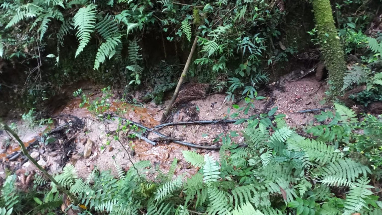 Imagem Chácara com 3 Quartos à Venda, 11 m² em Olaria - Bocaiúva Do Sul