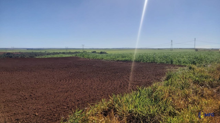 Imagem Chácara à Venda,  em área Rural - Tupaciguara