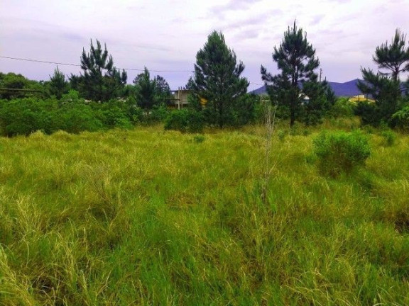 Imagem Terreno à Venda, em Araçatuba - Imbituba Imagem Terreno à Venda, em Araçatuba - Imbituba
