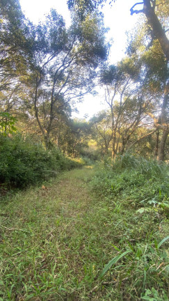 Imagem Terreno à Venda, 61.000 m² em Ambrósio - Garopaba
