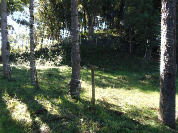Imagem Terreno à Venda, 515 m² em Bateias - Campo Largo Imagem Terreno à Venda, 515 m² em Bateias - Campo Largo