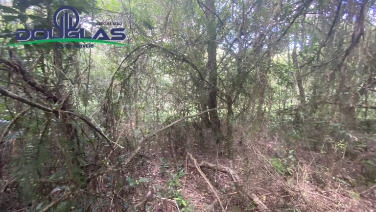 Imagem Terreno à Venda, 5.000 m² em Viamão Imagem Terreno à Venda, 5.000 m² em Viamão