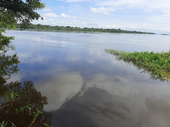 Imagem Fazenda à Venda, 532 m² em Rural - Juarina Imagem Fazenda à Venda, 532 m² em Rural - Juarina