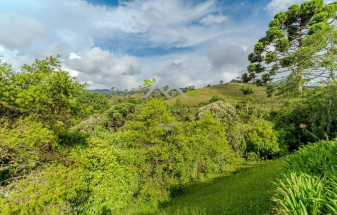 Imagem Casa com 4 Quartos à Venda, 200 m² em Parque Ferradura - Campos Do Jordão