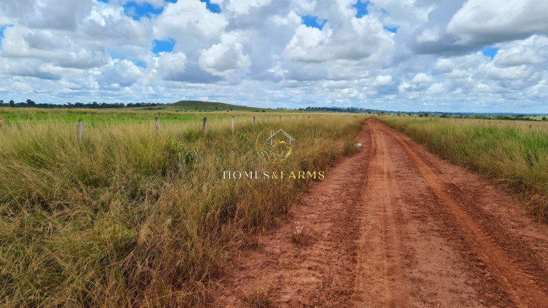 Imagem Imóvel com 3 Quartos à Venda, 43.000 m² em Zona Rural - Aurora Do Pará Imagem Imóvel com 3 Quartos à Venda, 43.000 m² em Zona Rural - Aurora Do Pará