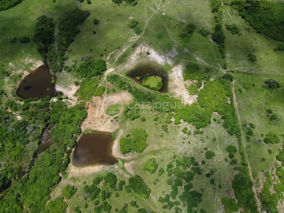 Imagem Fazenda à Venda, 300.000 m² em Lagoa Do Mato - Monte Alegre Imagem Fazenda à Venda, 300.000 m² em Lagoa Do Mato - Monte Alegre
