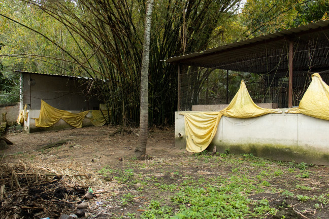 Imagem Imóvel com 7 Quartos à Venda,  em Guaratiba - Rio De Janeiro