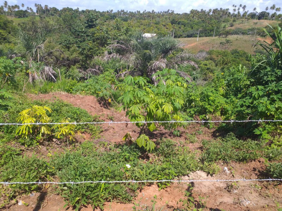 Imagem Terreno à Venda, 10.000 m² em Barra Do Jacuípe (monte Gordo) - Camaçari Imagem Terreno à Venda, 10.000 m² em Barra Do Jacuípe (monte Gordo) - Camaçari