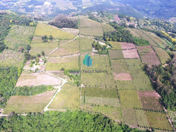 Imagem Terreno à Venda, 120.000 m² em Linha Pederneira - Monte Belo Do Sul Imagem Terreno à Venda, 120.000 m² em Linha Pederneira - Monte Belo Do Sul