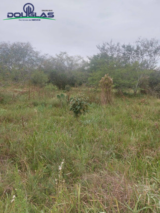 Imagem Imóvel Comercial à Venda, 20.000 m² em Viamão Imagem Imóvel Comercial à Venda, 20.000 m² em Viamão