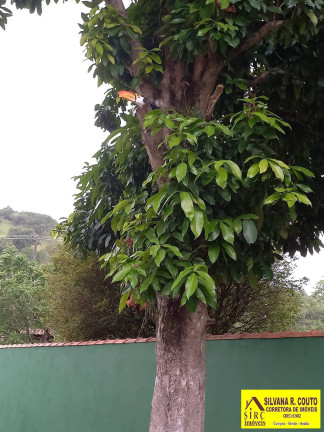 Imagem Chácara com 6 Quartos à Venda, 1 m² em Itaocaia Valley (itaipuaçu) - Maricá
