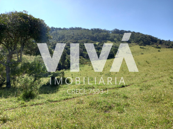 Imagem Fazenda à Venda, 338.800 m² em Rural - Pedra Bela Imagem Fazenda à Venda, 338.800 m² em Rural - Pedra Bela