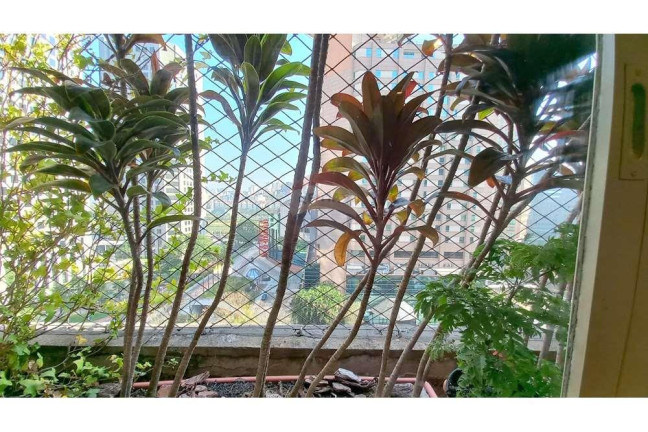 Imagem Apartamento com 3 Quartos à Venda, 108 m² em Cidade Monções - São Paulo Imagem Apartamento com 3 Quartos à Venda, 108 m² em Cidade Monções - São Paulo