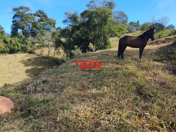 Imóvel à Venda,  em Soledade De Minas - Soledade De Minas
