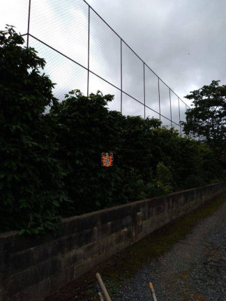 Imagem Chácara com 3 Quartos à Venda, 207 m² em Goianã - Mairinque