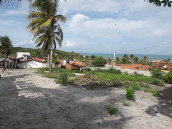Imagem Terreno à Venda, 1.000 m² em Tibau Do Sul Imagem Terreno à Venda, 1.000 m² em Tibau Do Sul