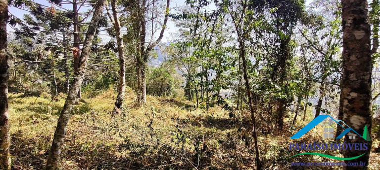 Imagem Chácara à Venda, 49 m² em Centro - Gonçalves Imagem Chácara à Venda, 49 m² em Centro - Gonçalves