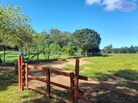 Imagem Imóvel com 5 Quartos à Venda, 128 m² em Ipelândia - Suzano