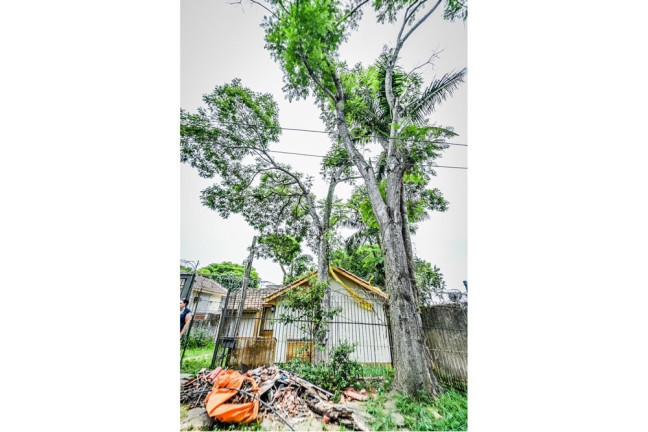 Imagem Casa de Condomínio com 3 Quartos à Venda, 143 m² em Santa Tereza - Porto Alegre