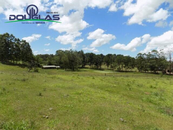 Imagem Chácara com 2 Quartos à Venda, 190.000 m² em Viamão Imagem Chácara com 2 Quartos à Venda, 190.000 m² em Viamão