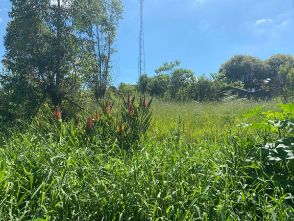 Imagem Terreno à Venda, 380 m² em Centro - Mairiporã Imagem Terreno à Venda, 380 m² em Centro - Mairiporã