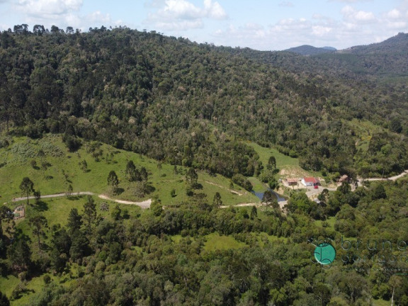 Imagem Imóvel com 2 Quartos à Venda, 500.000 m² em Interior - Otacílio Costa