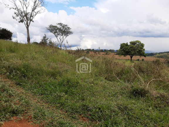 Imagem Imóvel à Venda, 30.000 m² em Conceição (rural) - Palmeiral Imagem Imóvel à Venda, 30.000 m² em Conceição (rural) - Palmeiral