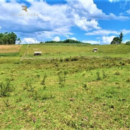 Imagem Chácara à Venda, 20.000 m² em Gravataí Imagem Chácara à Venda, 20.000 m² em Gravataí