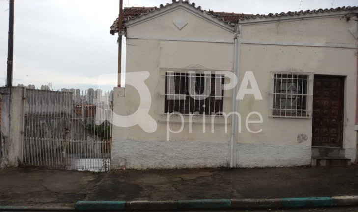 Terreno à Venda, 250 m² em Vila Maria - São Paulo