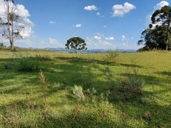 Imagem Chácara à Venda, em Sítio Linha Esperança - Iomerê Imagem Chácara à Venda, em Sítio Linha Esperança - Iomerê